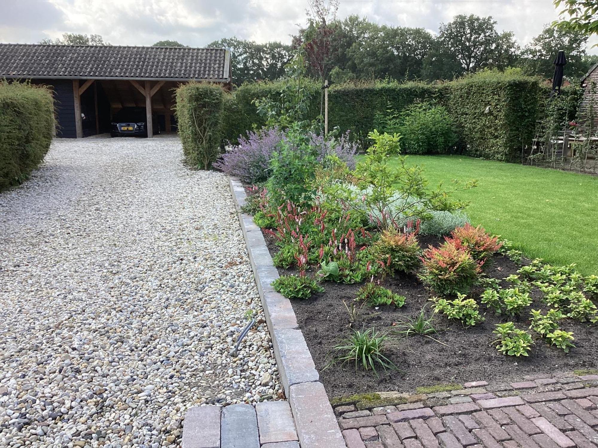 B&B De Meidoornhof Ruinen Екстер'єр фото